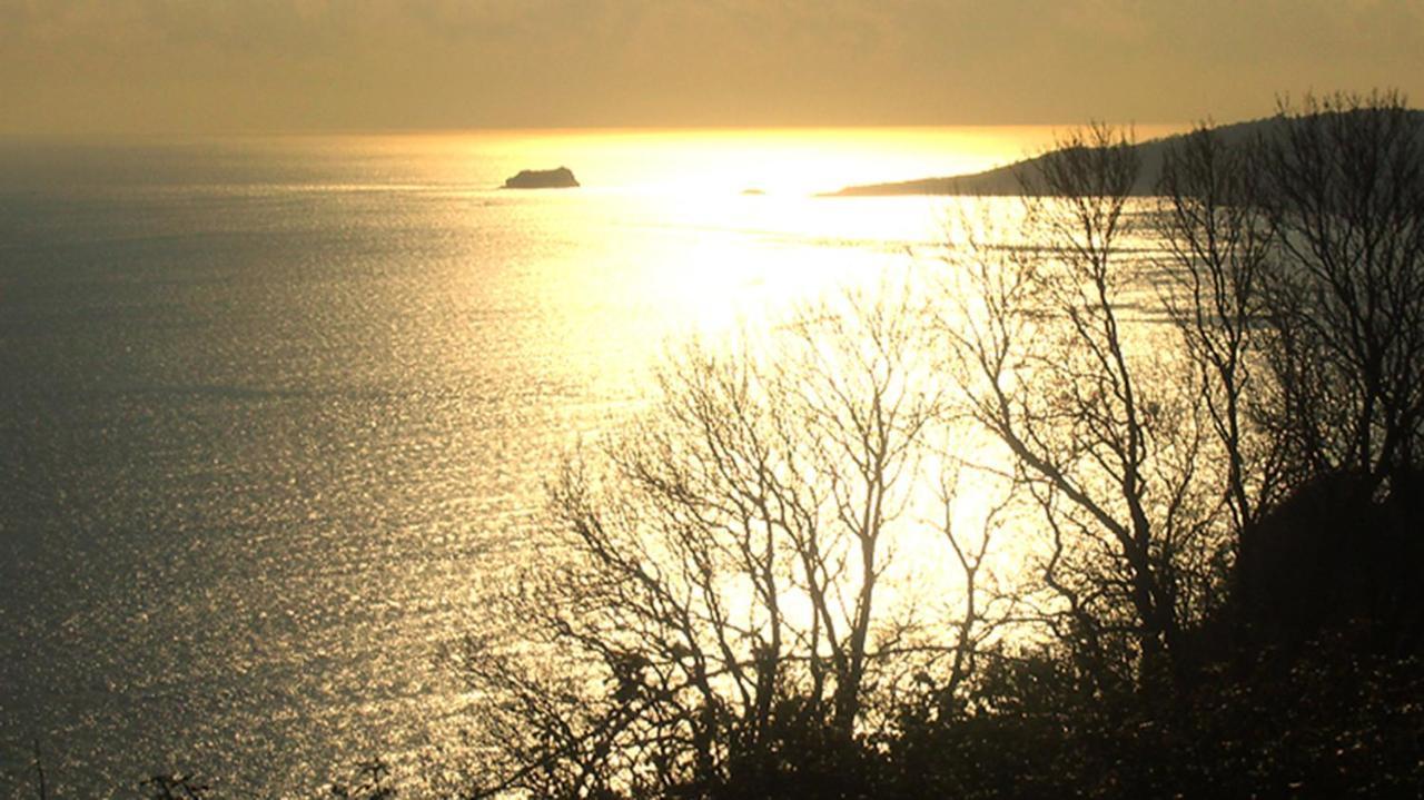 Beautiful Seaside One Bedroom Apartment Shaldon Esterno foto